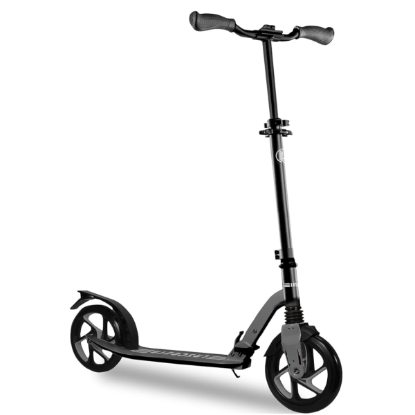 Adult Scooter (Rental)